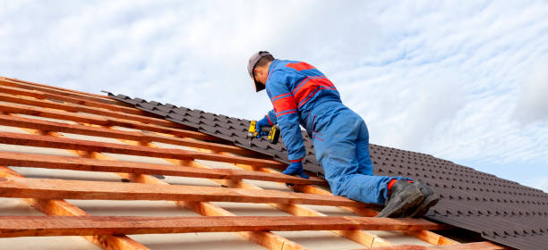 Best Metal Roofing Installation  in Kaibito, AZ